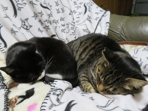 2020ǯ1016ʤʤߤȤԤä