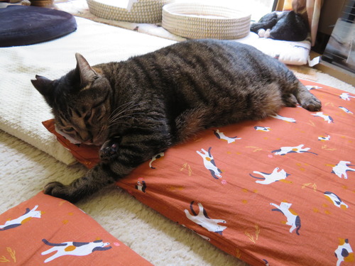 1階に居るのよね