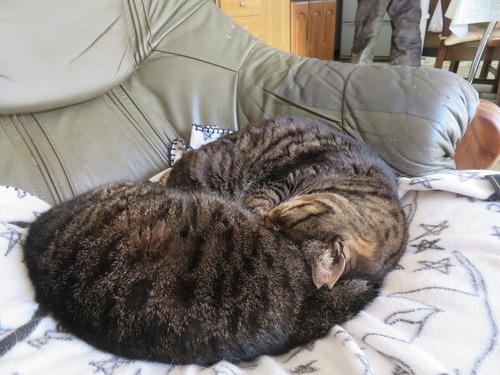 �������ʤ�