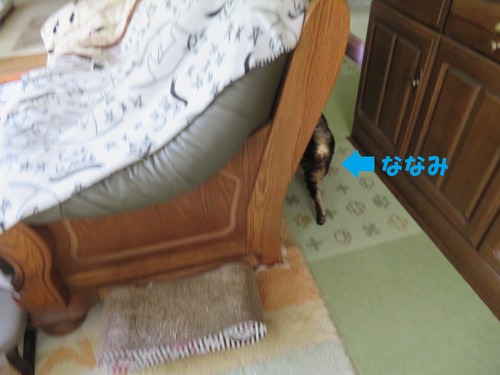 行っちゃった