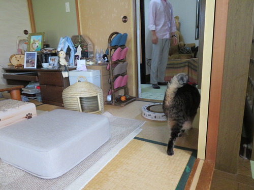 傍へ