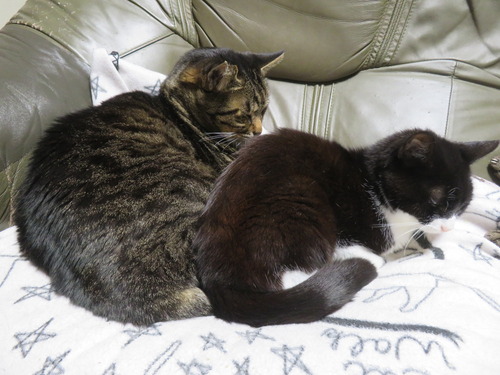 �����ä�