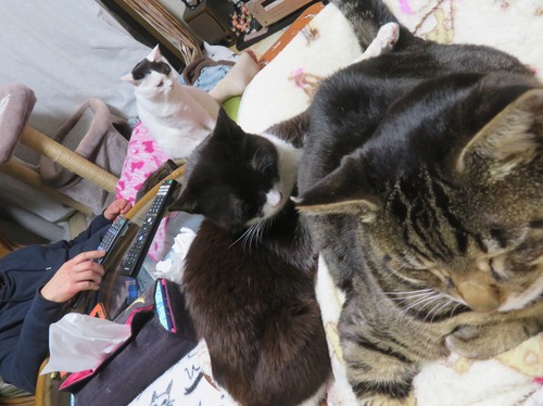 ɨ�ξ�ˡɤʤʡ����ߡ�