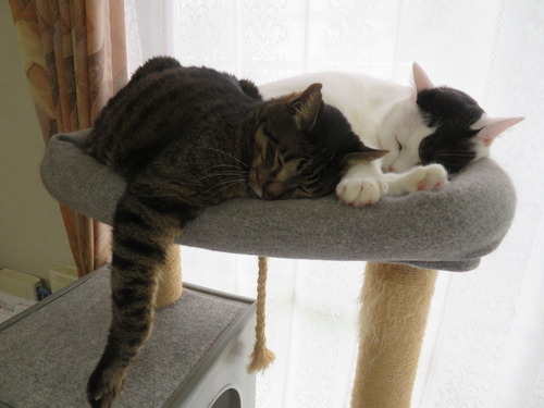 1たく&かい