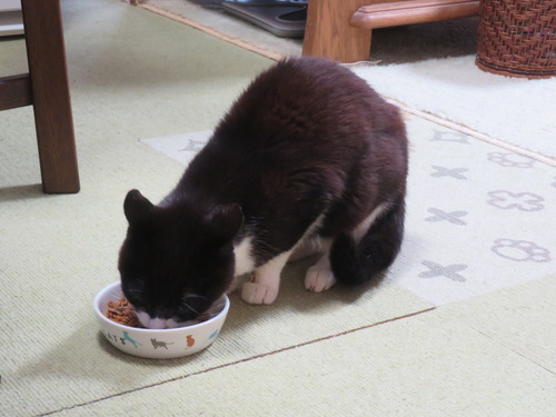 ���٤���