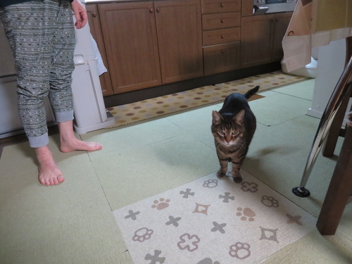 ���������˵�򥦥�����