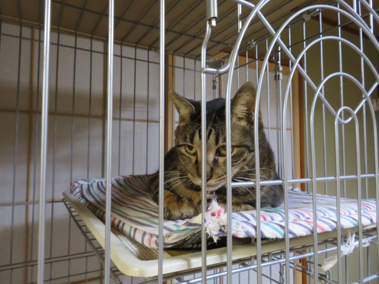 一人になりたい時も 陽だまり堂