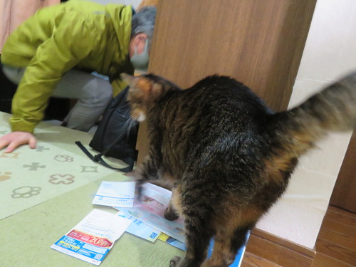 お帰りなさ〜い