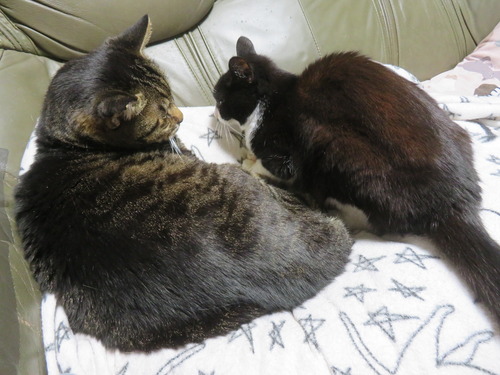 �����ä�