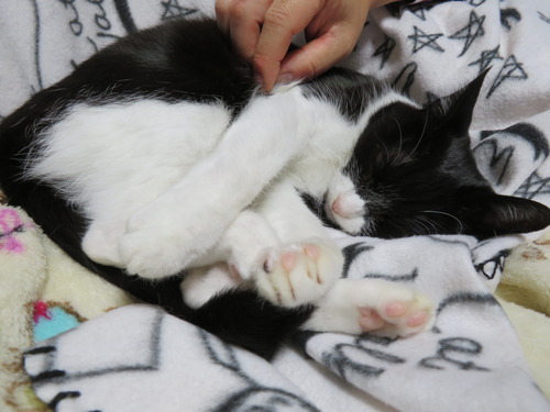 2020ǯ1028뤪󤬤ʤǤʤ