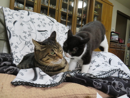 2021ǯ112ߤե夬äơɤʤʤߡɤ򥸡