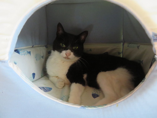 2022ǯ914ߥҥꥭ塼֥٥å