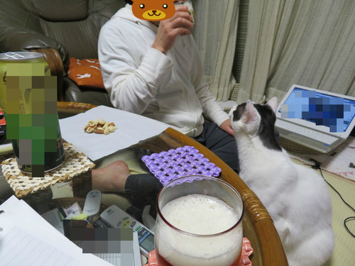 にゃに飲んでるの?