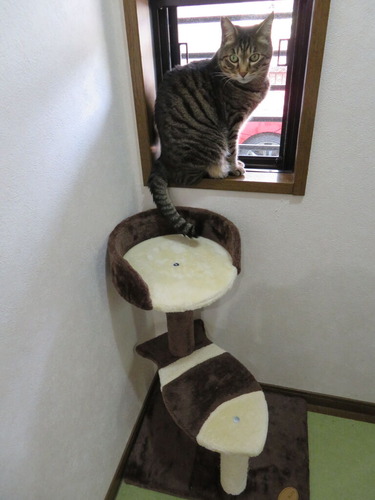 暫くここに