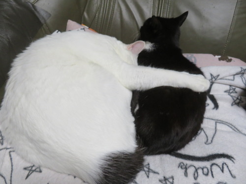 ����������