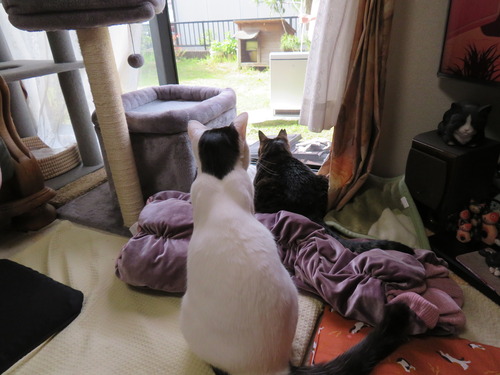 部屋の中