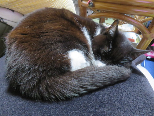 ��������ξ��