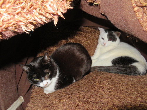 2022ǯ226礦Τդդ٥åȤ