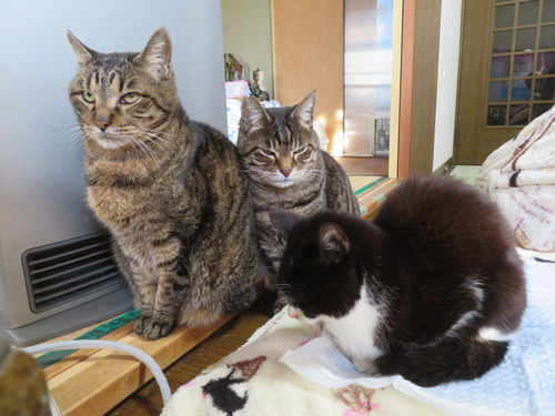 ī�����ȡ�����