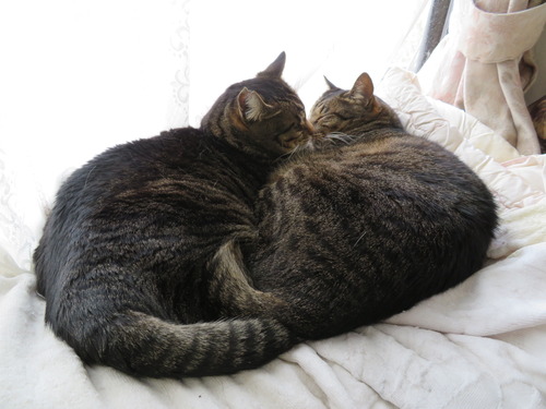 なな&たくは
