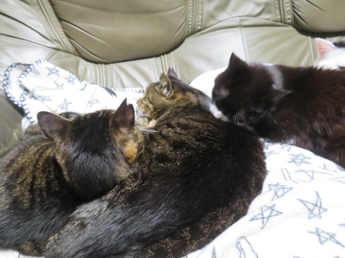 �ɤʤʤߡɤϵ����դ���̵��