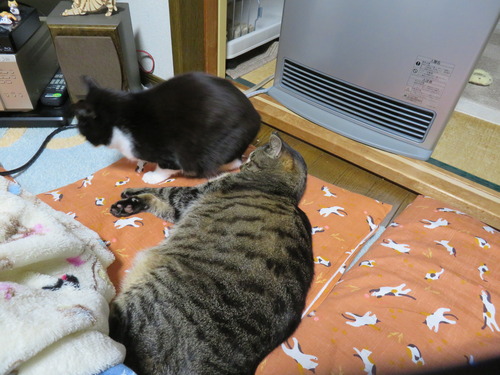 戻って来ると