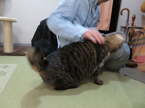 スリスリ〜