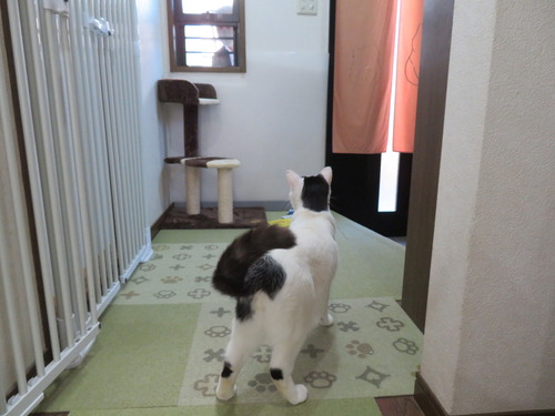 玄関を出た後