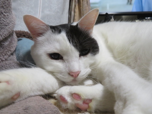 ��������β�