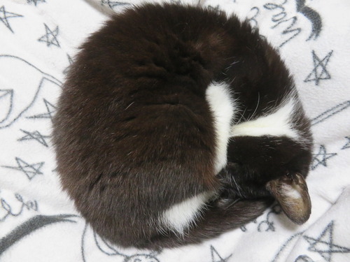 ���ä��㤤��