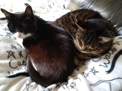 2024ǯ1121009ɤʤʤߡɤˤԤä󤳤Ρɤ