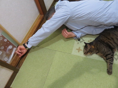 おいで