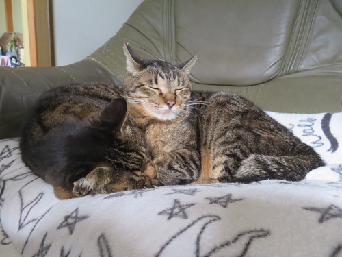 �ʤʡ�����