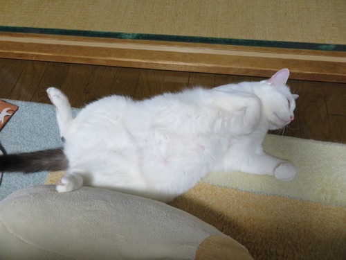お母ちゃんの横で