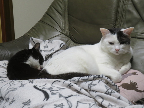 ����������