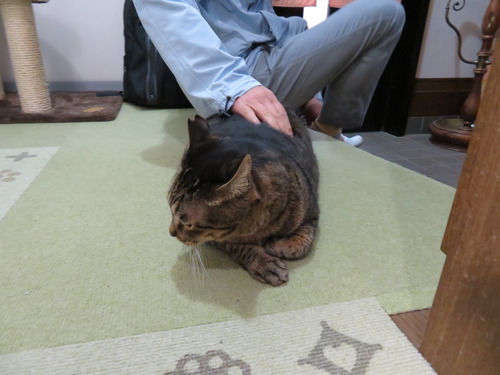 ナデナデ