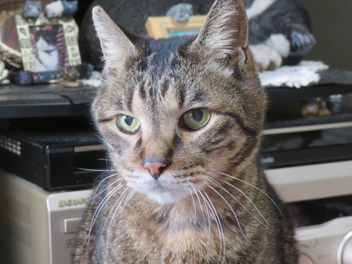 �ɤ����ߡɤ�