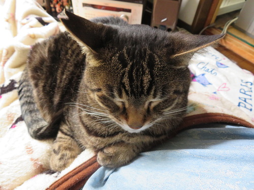 ベッタリ