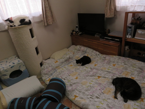 布団の上と