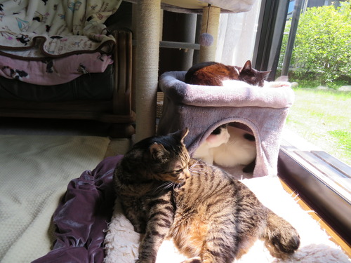 たく&かい&うみ