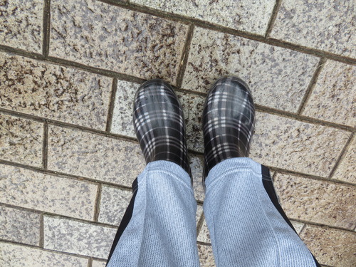 �쥤�󥷥塼��