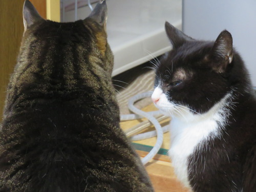 �ʤʡ�����