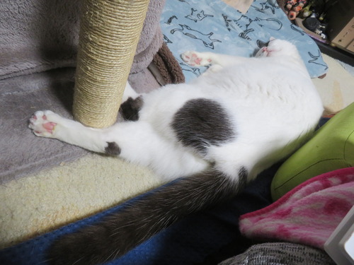 ��������β���