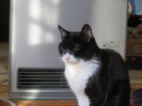 �����饹�ȡ���