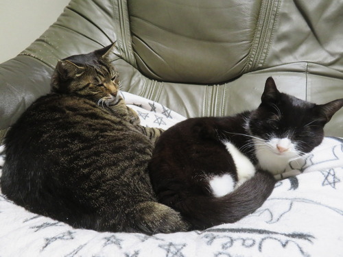 �����ä�