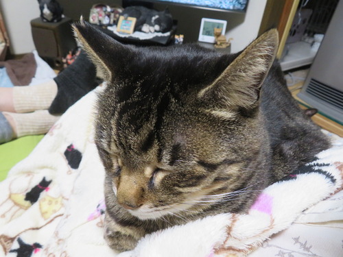 1ɨ�ξ�ˡɤʤʤߡ�