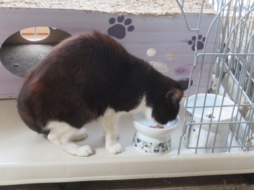 �⤦����­����