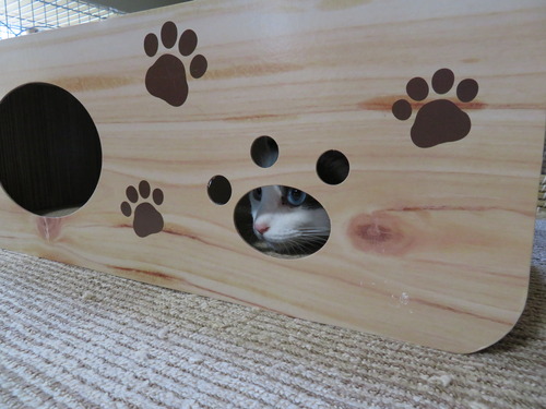 Boxの中