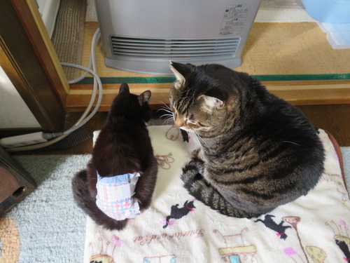 �ʤʡ�����