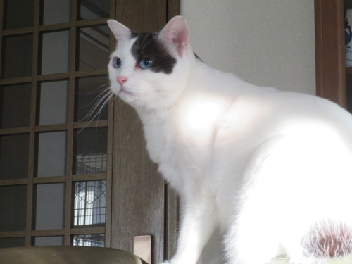 ���ե����ؤ⤿���